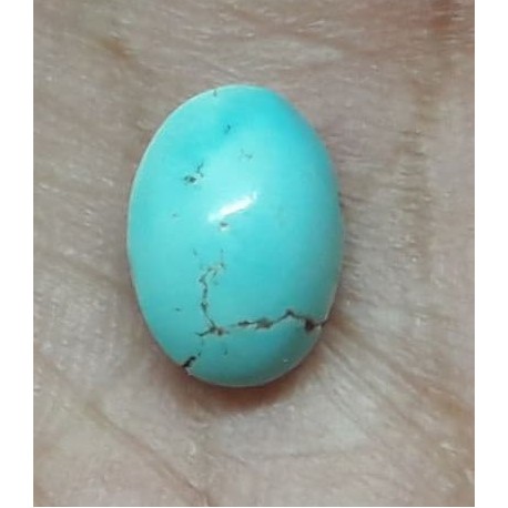 فیروزه اصل نیشابور