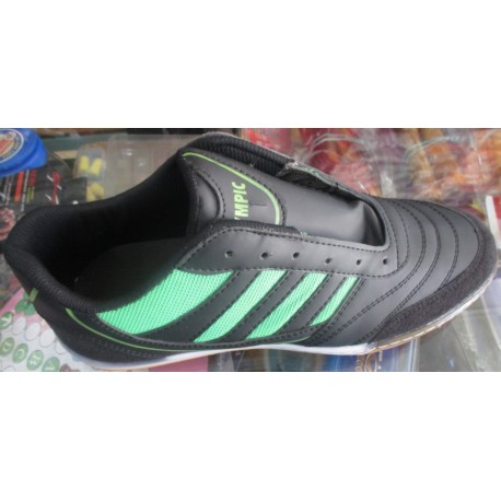 کفش ورزشی المپیک سالنی